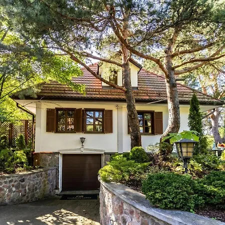Golden - Forest Retreat With Jacuzzi And Garden View